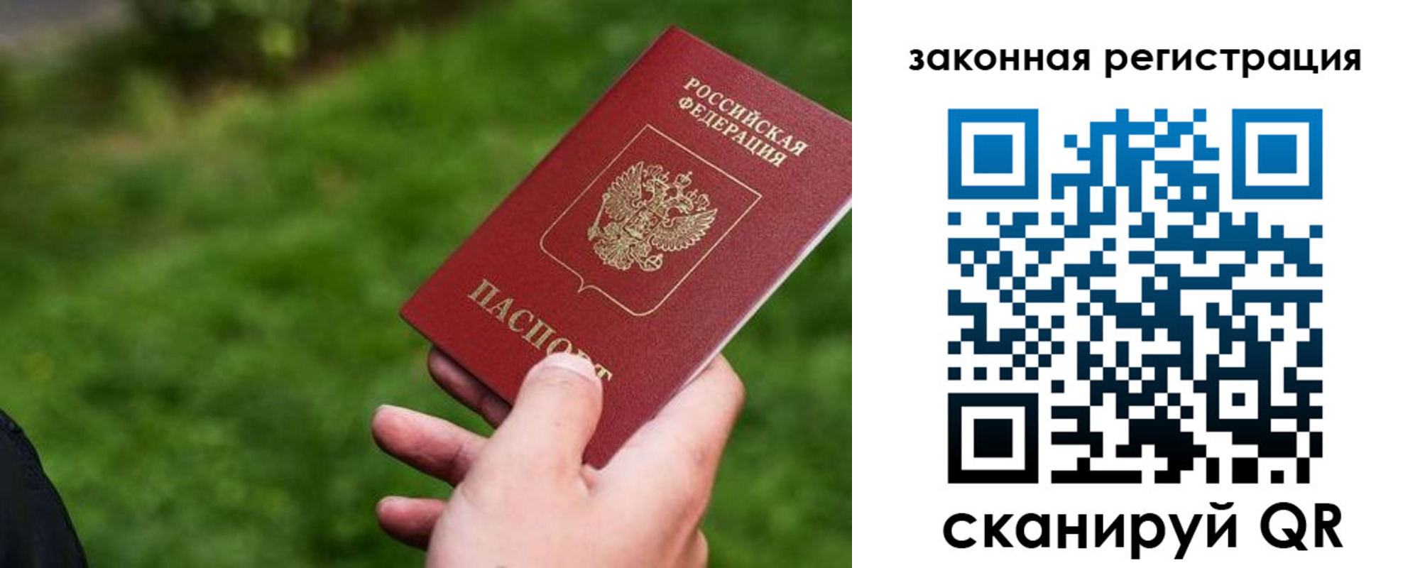 прописка законно в Полярном